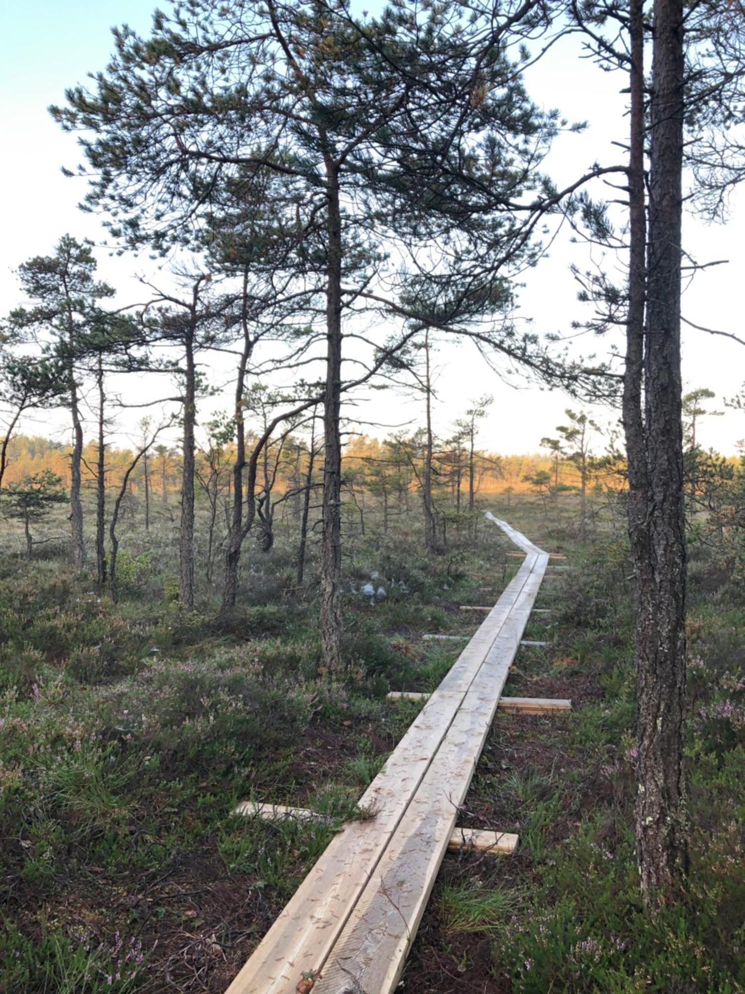 Kylas Vildmark Skillingaryd Bagian luar foto